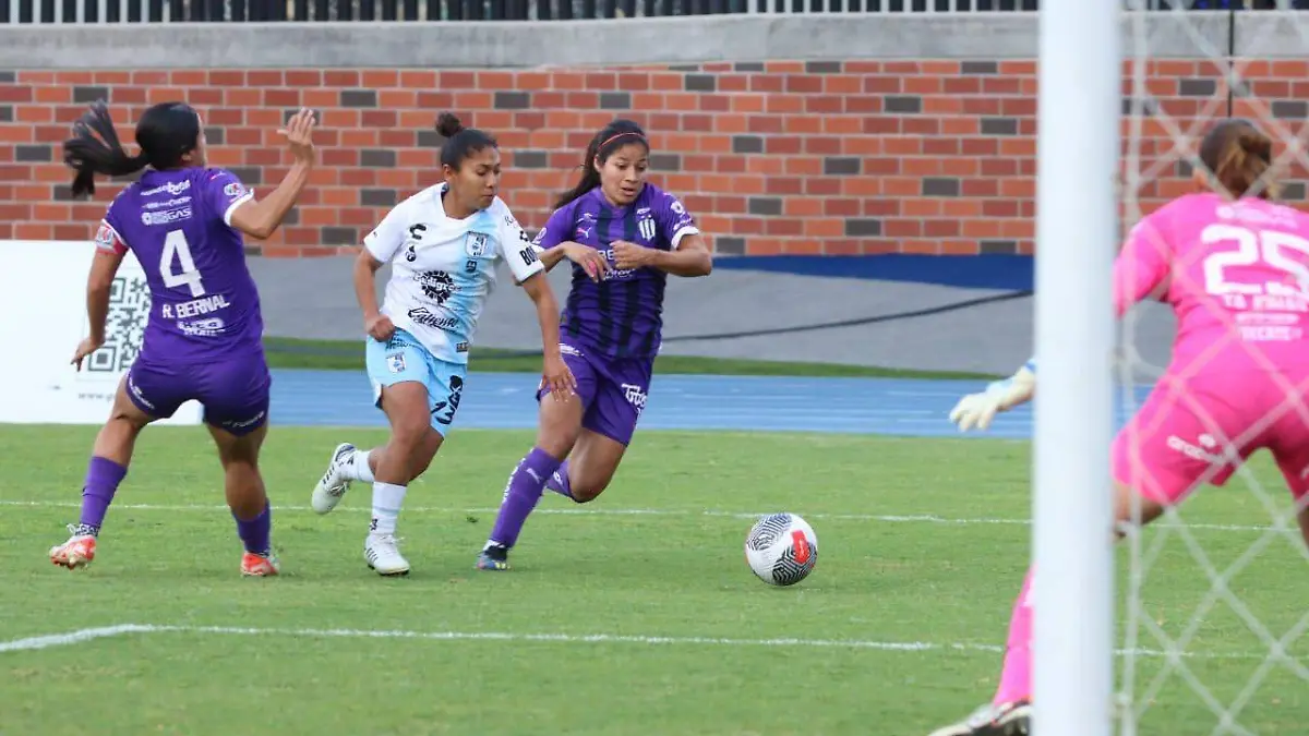 gallos femenil